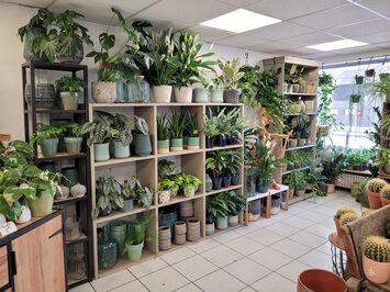 Vente - Fleuriste - Villeurbanne (69100)