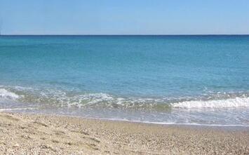 Location Local Commercial - Pyrénées-Orientales (66)-photo-1