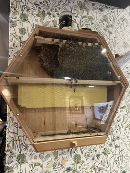 Vente - Bar - Restaurant - Vosges (88)-photo-4