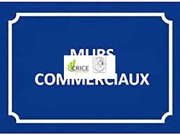 Vente de murs de boutique - Charente-Maritime (17)