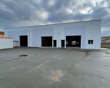 Vente Entrepôt / Local d'activités - Belleville (69220)-photo-2