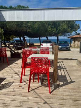 Vente - Restaurant - Restaurant à thème - Corse-du-Sud (2A)-photo-2