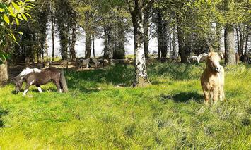 Vente de murs de boutique - Morbihan (56)-photo-2