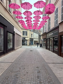 Location Local Commercial - Montlucon (03100)