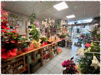 Vente - FDJ - Fleuriste - Loto - Presse - Nérondes (18350)-photo-2