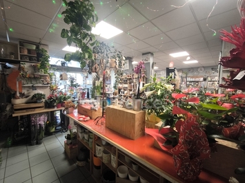 Vente - Cadeaux souvenirs - Fleuriste - Nérondes (18350)-photo-3