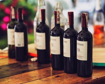 Vente - Cave à vins - Vins et spiritueux - Calvados (14)