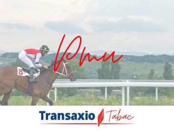 Vente - Tabac - FDJ - Loto - PMU - Presse - Belfort (90000)-photo-3