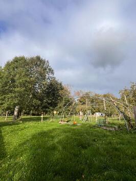 Vente - Camping - Licence IV - Chocolaterie Chocolatier - Seine-Maritime (76)-photo-4