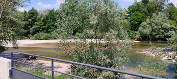 Vente - Brasserie - Restaurant - Jura (39)-photo-4