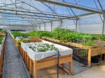 Vente Entrepôt / Local d'activités - Haute-Saône (70)-photo-2