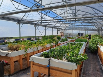 Vente Entrepôt / Local d'activités - Haute-Saône (70)-photo-3