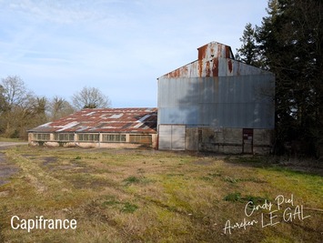 Vente Entrepôt / Local d'activités - Morbihan (56)