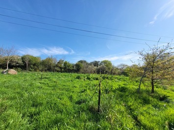 Vente Entrepôt / Local d'activités - Finistère (29)-photo-2