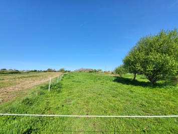 Vente Entrepôt / Local d'activités - Finistère (29)-photo-2