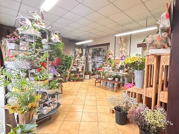 Vente - Fleuriste - Nord (59)-photo-2