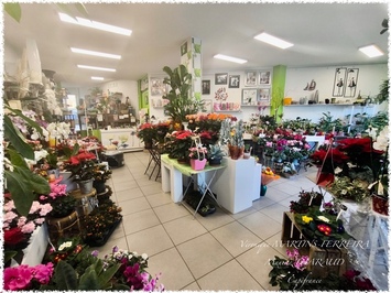 Vente - Cadeaux souvenirs - Fleuriste - Mehun-sur-Yèvre (18500)-photo-4