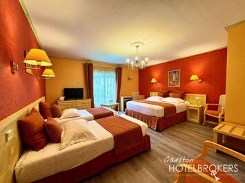 Vente - Hôtel - Restaurant - Arles (13200)-photo-4