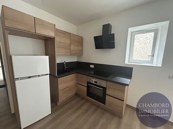 Location Entrepôt / Local d'activités - Blois (41000)-photo-2