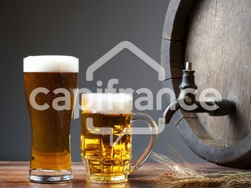 Vente - Bar - Brasserie - Restaurant - Crêperie - Glacier - Ile-Tudy (29980)-photo-3