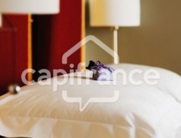 Vente - Hôtel - Restaurant - Toulouse (31000)