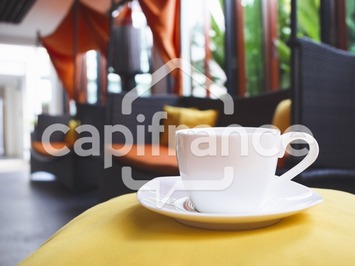 Vente - Hôtel - Restaurant - Toulouse (31000)-photo-2