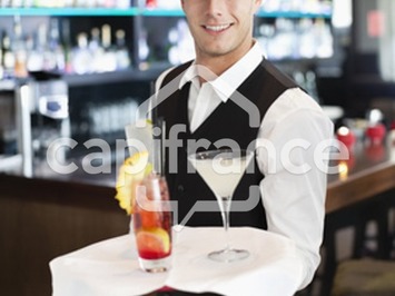 Vente - Hôtel - Restaurant - Toulouse (31000)-photo-3