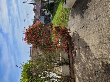 Vente - Bar - Brasserie - Restaurant - Licence IV - Loire-Atlantique (44)-photo-2