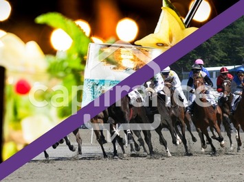 Vente - Bar - Tabac - FDJ - PMU - Nord (59)-photo-3