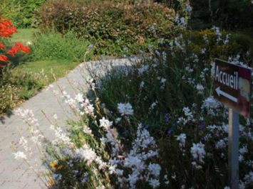 Vente - Hôtel - Gîte - Chocolaterie Chocolatier - Morbihan (56)-photo-4