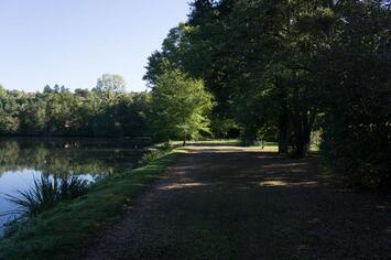 Vente - Restaurant - Rhône (69)-photo-4