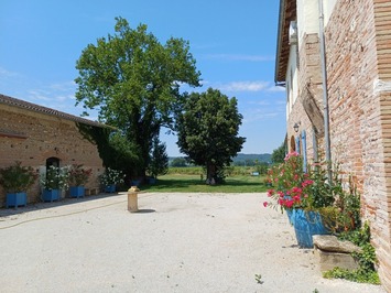 Vente - Hôtel - Toulouse (31000)-photo-2