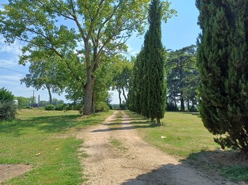 Vente - Hôtel - Toulouse (31000)-photo-3