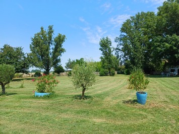 Vente - Hôtel - Toulouse (31000)-photo-4