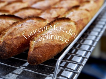 Vente - Boulangerie - Terminal de cuisson - Lacanau (33680)-photo-1