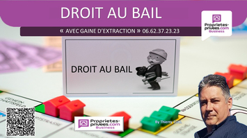 Location Local Commercial - Rhône (69)-photo-3