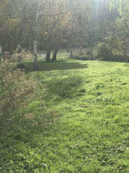 Vente Terrain ZI / ZA - Ardiège (31210)-photo-4