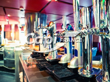 Vente - Bar - Brasserie - Restaurant - Aix-les-Bains (73100)