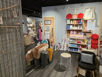 Location Local Commercial - Agen (47000)-photo-3