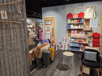 Location Local Commercial - Agen (47000)-photo-4