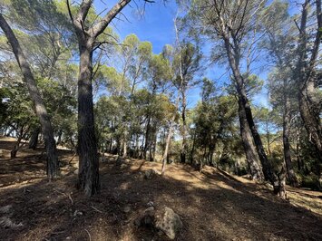 Vente Terrain ZI / ZA - Lorgues (83510)