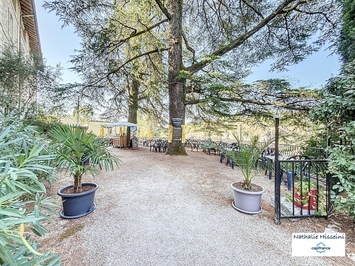 Vente - Bar - Restaurant - Licence IV - Ardèche (07)-photo-3