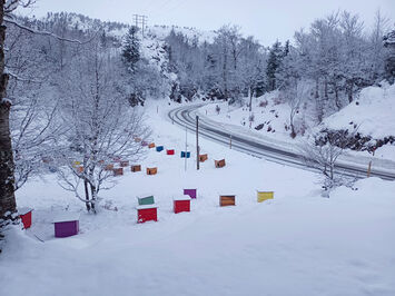 Vente - Hôtel - Restaurant - Gîte - Oloron-Sainte-Marie (64400)-photo-2