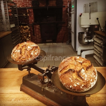 Vente - Boulangerie - Hérault (34)-photo-2