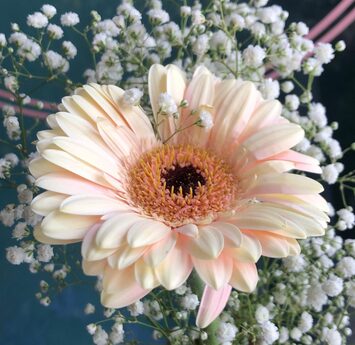 Vente - Fleuriste - Paris (75)