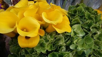 Vente - Fleuriste - Paris (75)