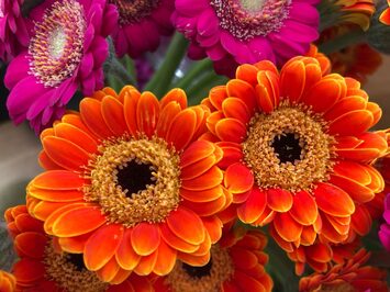 Vente - Fleuriste - Paris (75)