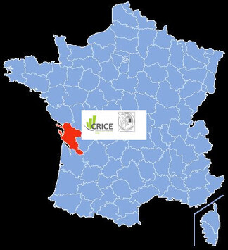 Vente Entrepôt / Local d'activités - Charente-Maritime (17)-photo-2