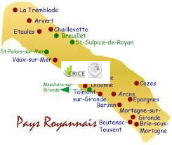Vente Entrepôt / Local d'activités - Charente-Maritime (17)-photo-3