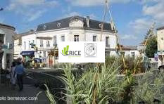 Location Bureau - Charente-Maritime (17)